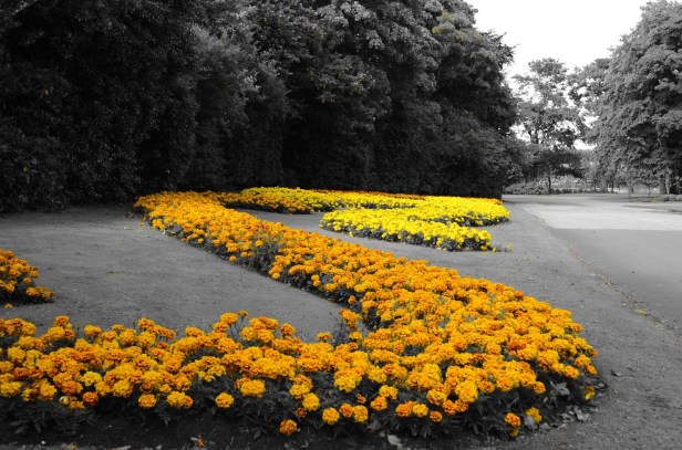 duthie-park-aberdeenfr