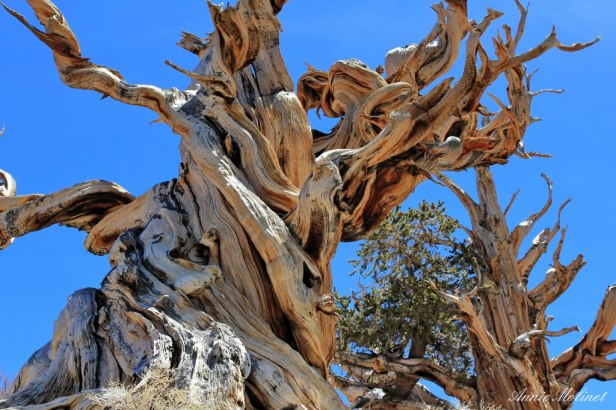 La vie a laissé ses traces