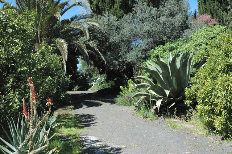 giardini-boccanegra-a-ventimiglia-kre
