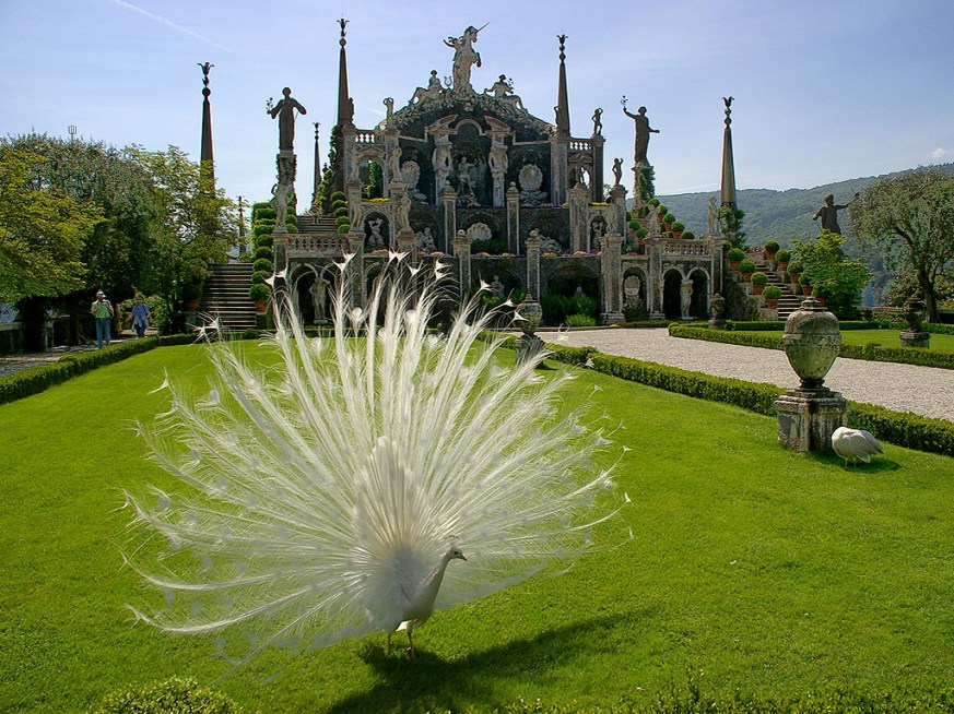 giardino_isola_bellax