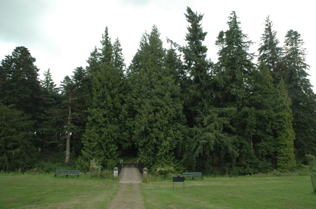 glamis-castle-pinetum-6