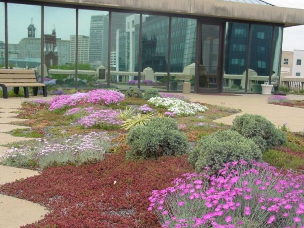 green-roof-atlanta-city-hall