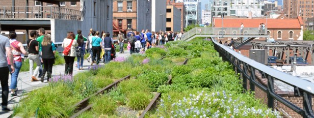 hight-line-new-york