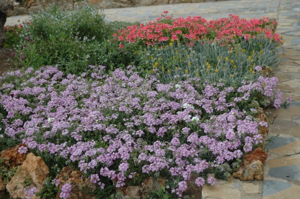 hotel-reina-victoria-verbena-x-2