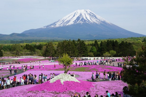 japon-fuji