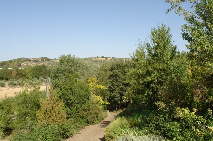 jardin-del-rosario-2-julio-2016-059