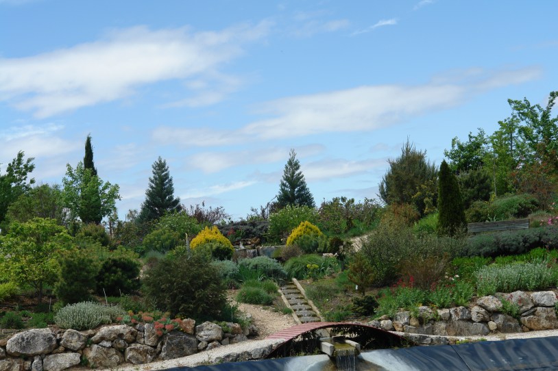 jardin-del-rosario-agua-de-pozo-081