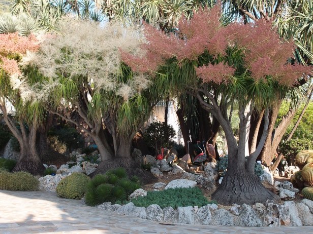jardin-exotique-de-monaco-3-4