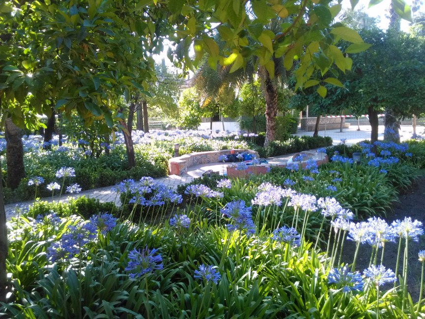jardines-de-los-reales-alcazares-061