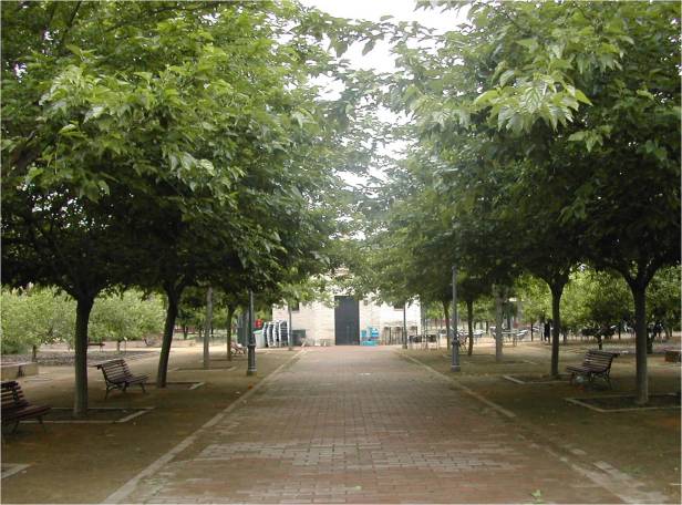 la-dignidad-del-arbol-b