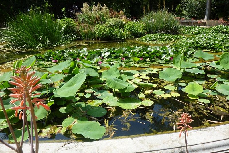 orto-botanico-di-palermo-hb