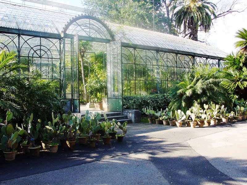 orto_botanico_palermo_02