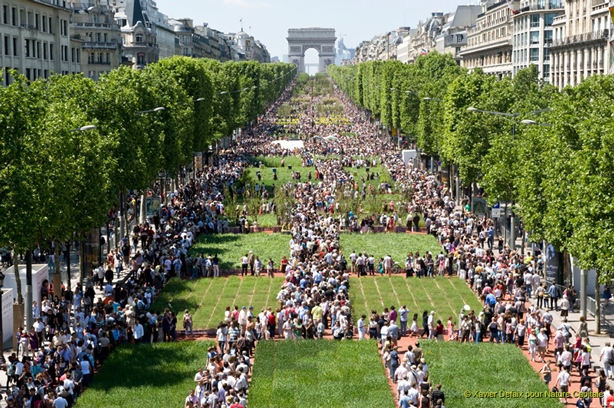 paris-nature_capitale_paris_champs_elysees
