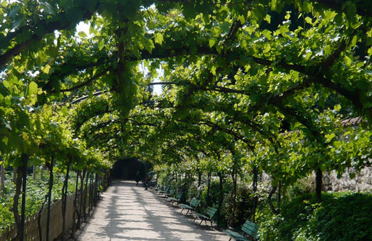 paris-pergolas-jardin-catherine-laboure