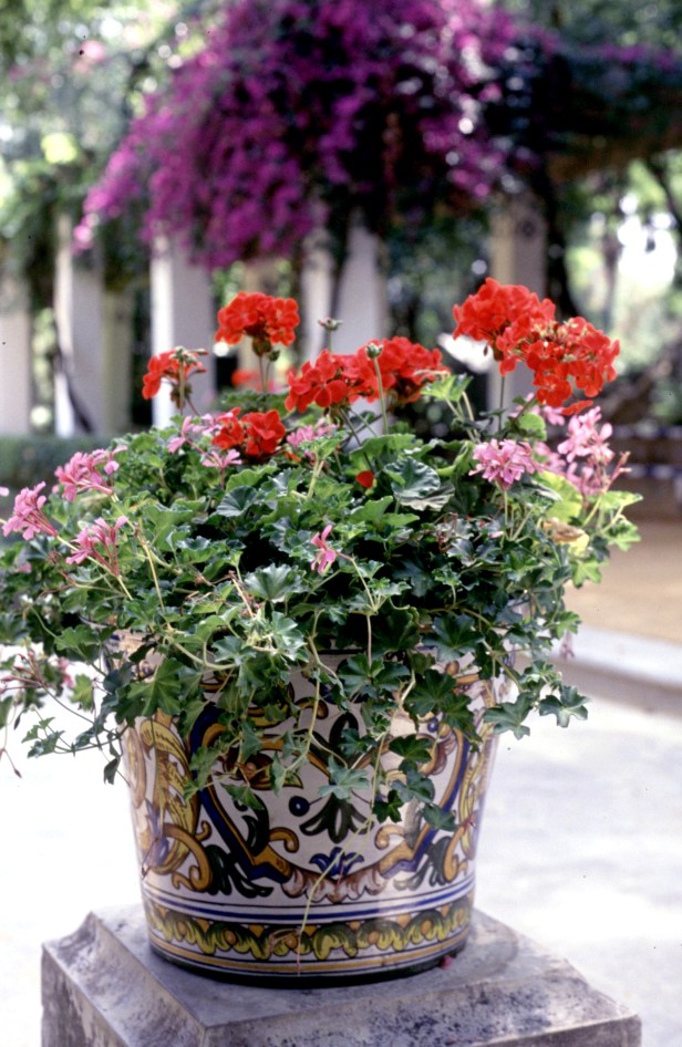 parque-de-maria-luisa-macetones-de-ceramica