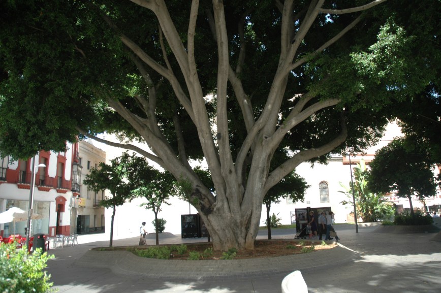 plaza-de-la-encarnacion