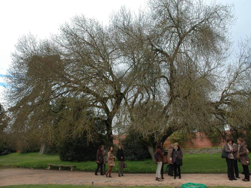 portugal-elvas-quinta-da-espanhola