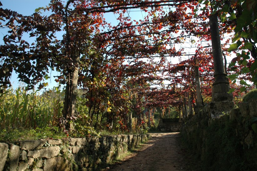 portugal-monasterio-de-tibaes-3