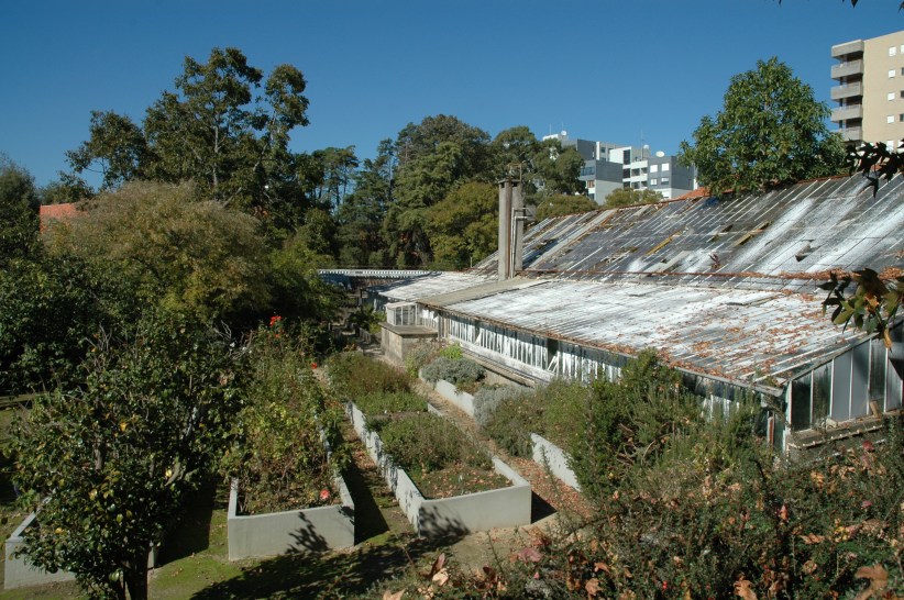 portugal-oporto-jardin-botanico-8