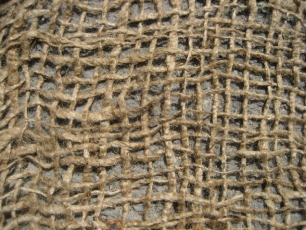 red_de_yuta_projar-1