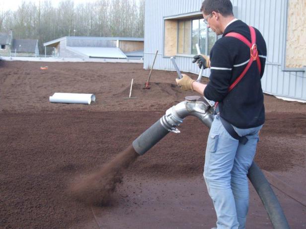 sedum-green-rooff-sustrato