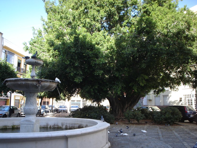 sevilla-plaza-de-san-leandro-1