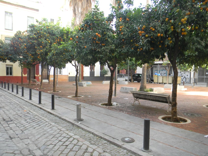 sevilla-plaza-del-duque-de-veragua