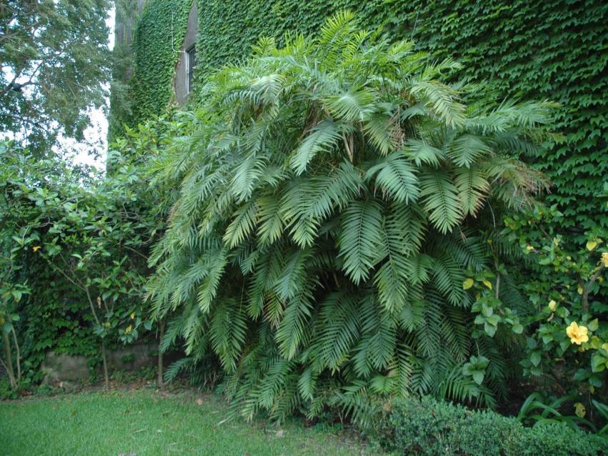 sicilia-villa-pennisi