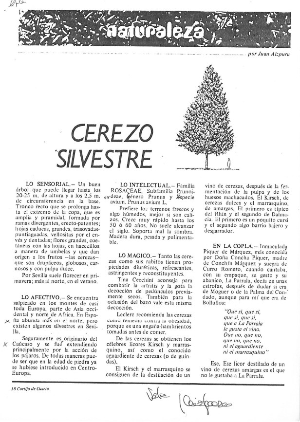 skmbt_c36016092710200_0009