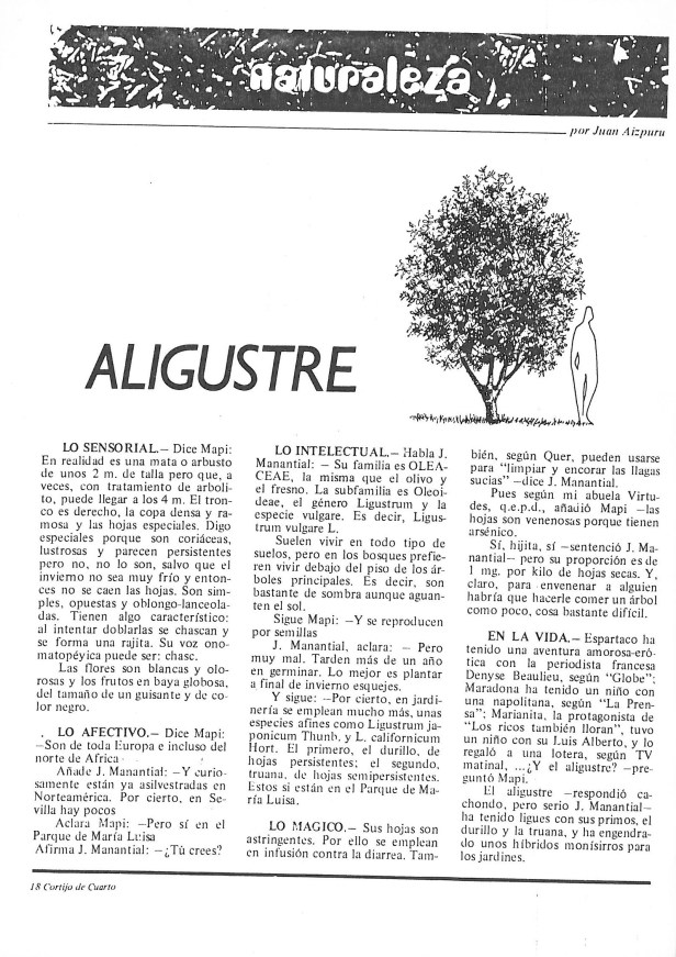 skmbt_c36016092710200_0021