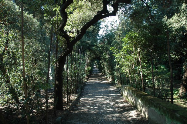 toscana-giardino-boboli-274