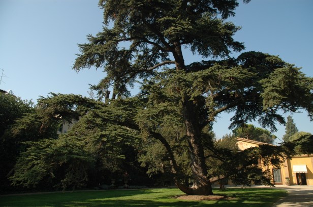 toscana-jardin-de-lla-gherasdesca-504