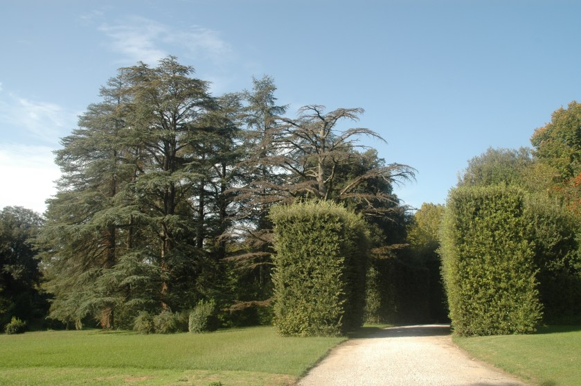 toscana-villa-reale-di-marlia-046