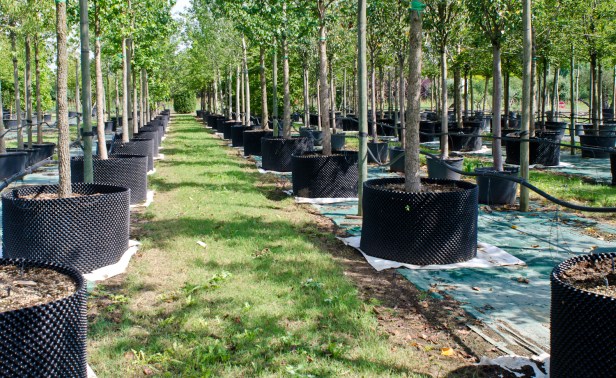 viveros-air-pot-techno-vivai-2