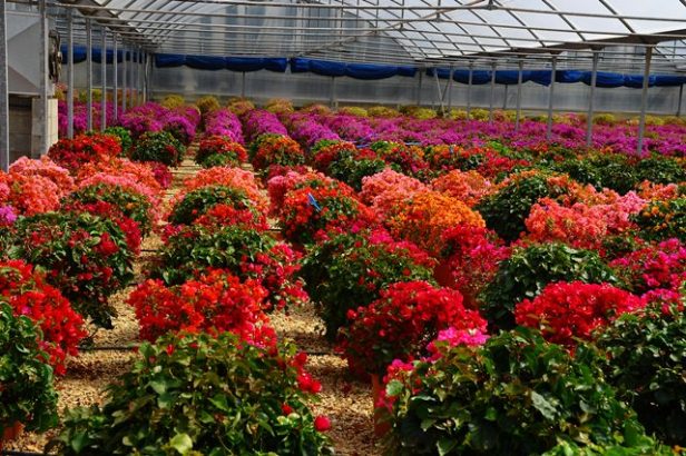 ????????????????????????????????????