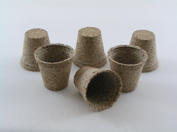 MINOLTA DIGITAL CAMERA