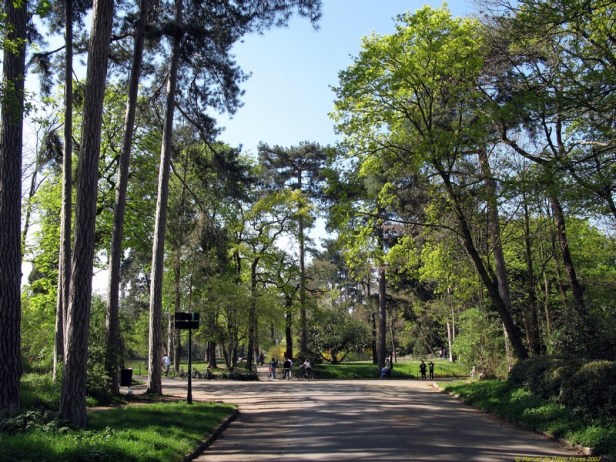 bois-de-boulogne-8
