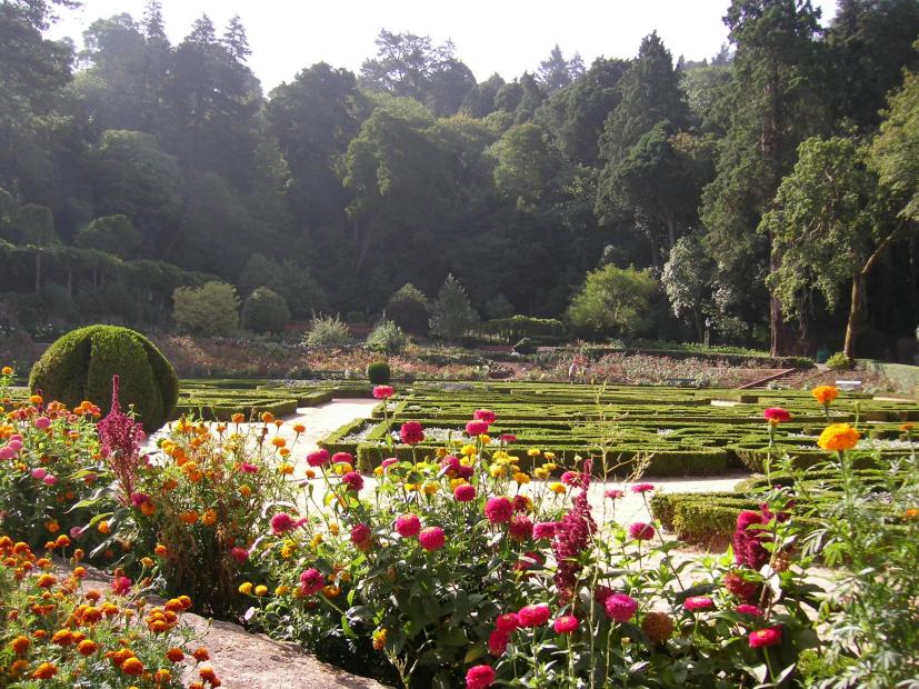 bucaco-figueira-da-foz-portugal
