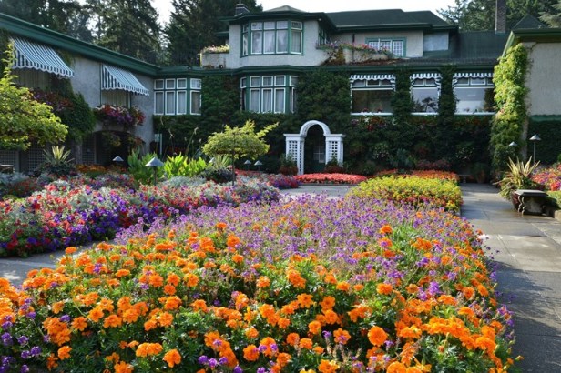 butchart-gardens-d