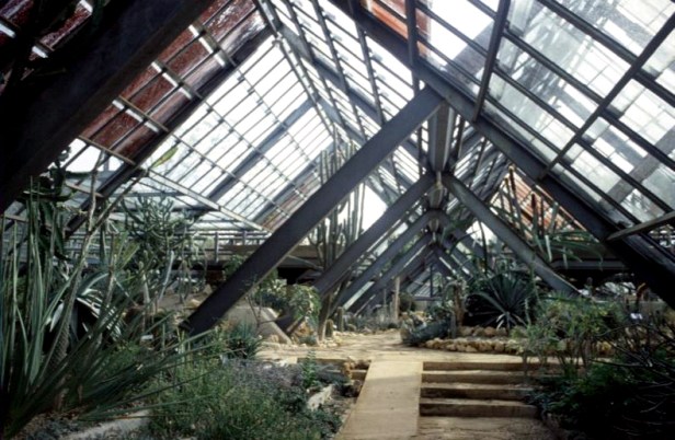 cuba-jardin-botanico-invernadero