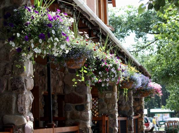 diseno-elemento-de-decoracion-basquets