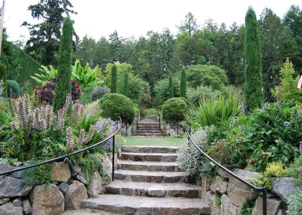 diseno-jardin-mediterraneo