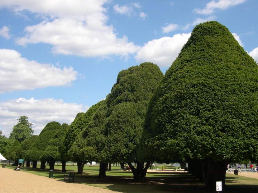 hampton-court-3_redimensionar