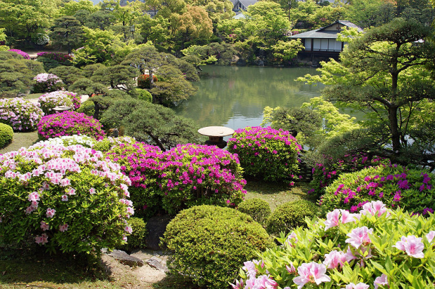 japon-elementos-sorakuen-azaleas-en-soraku-en-garden