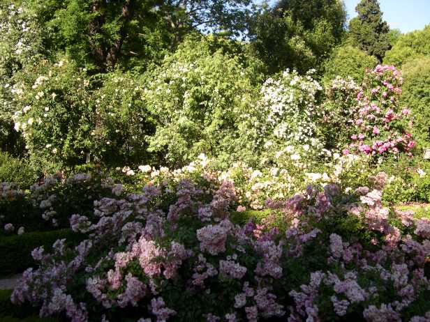 jardin-botanico-rosales