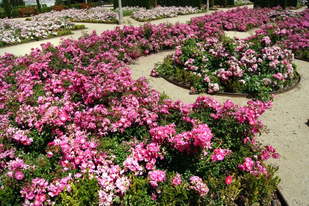 jardins-del-teatre-grec-en-barcelonabarcelona-teatre-grec