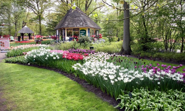 keukenhof-er