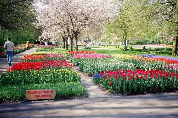 keukenhof-g