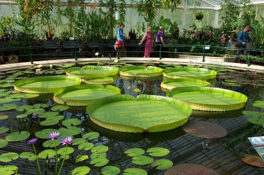 kewgardens-3_redimensionar