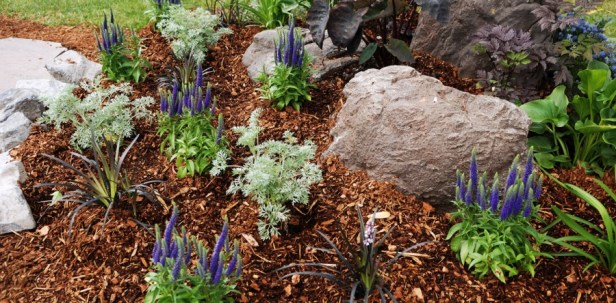 med-garden-mulch-900x444